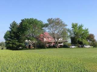A large green park with a building