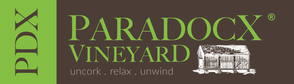 Delaware SBDC Client Paradocx logo