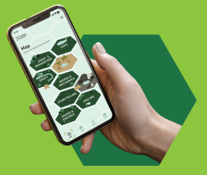 College Essay App on display on a phone.