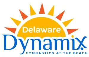 Delaware SBDC Client Delaware Dynamix logo