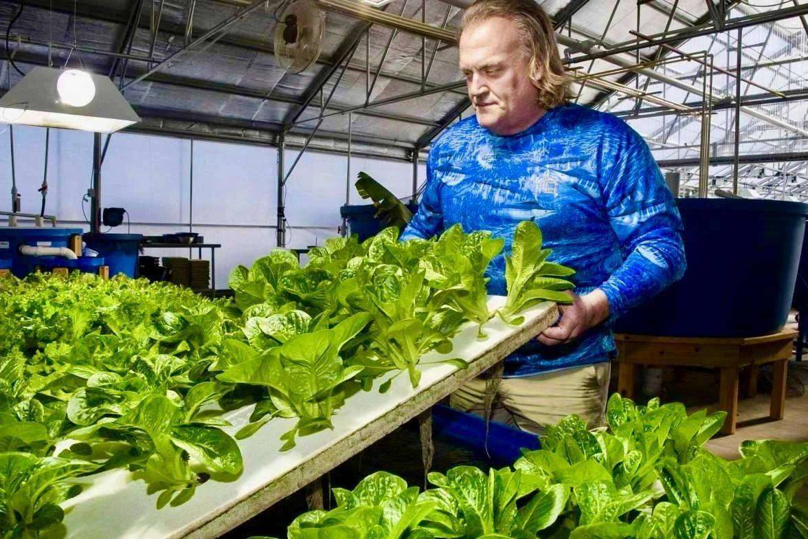 A man in a blue shirt taking care of plants